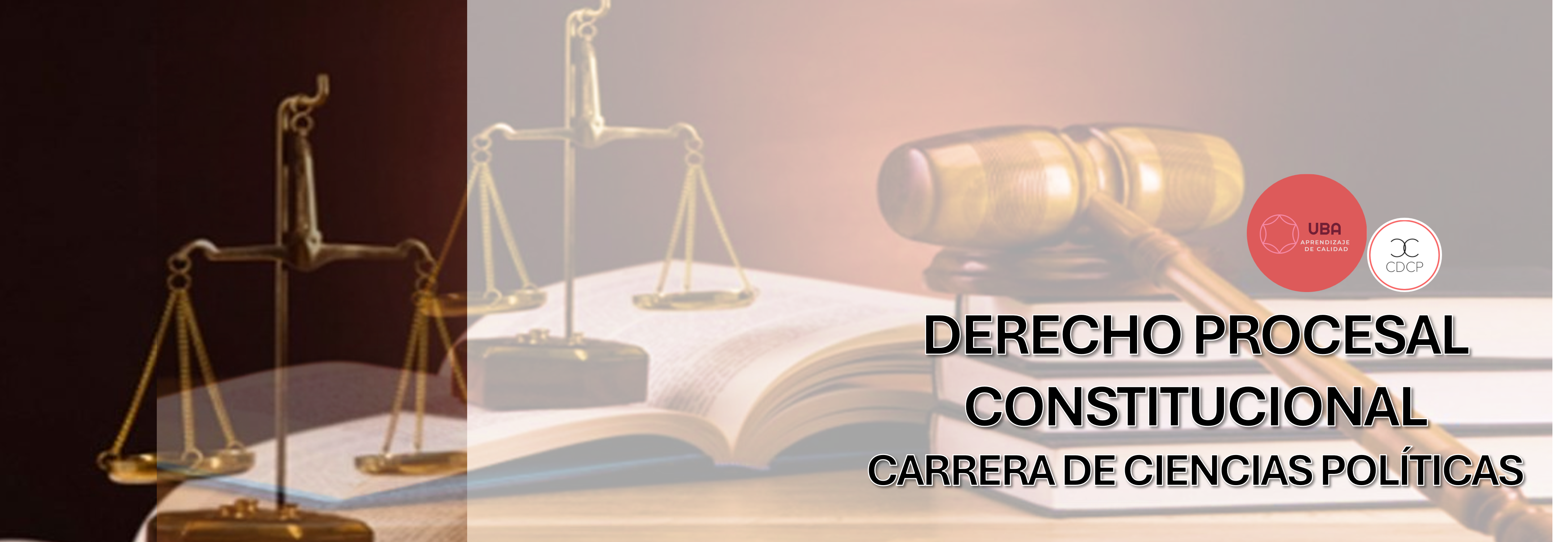 Curso Derecho Procesal Constitucional